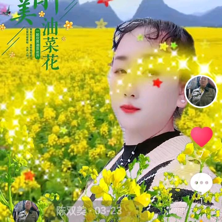 陈双美