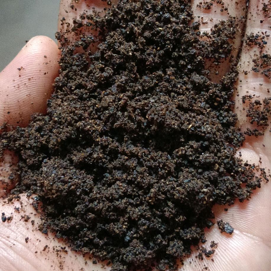 膨化花椒籽，常年有货