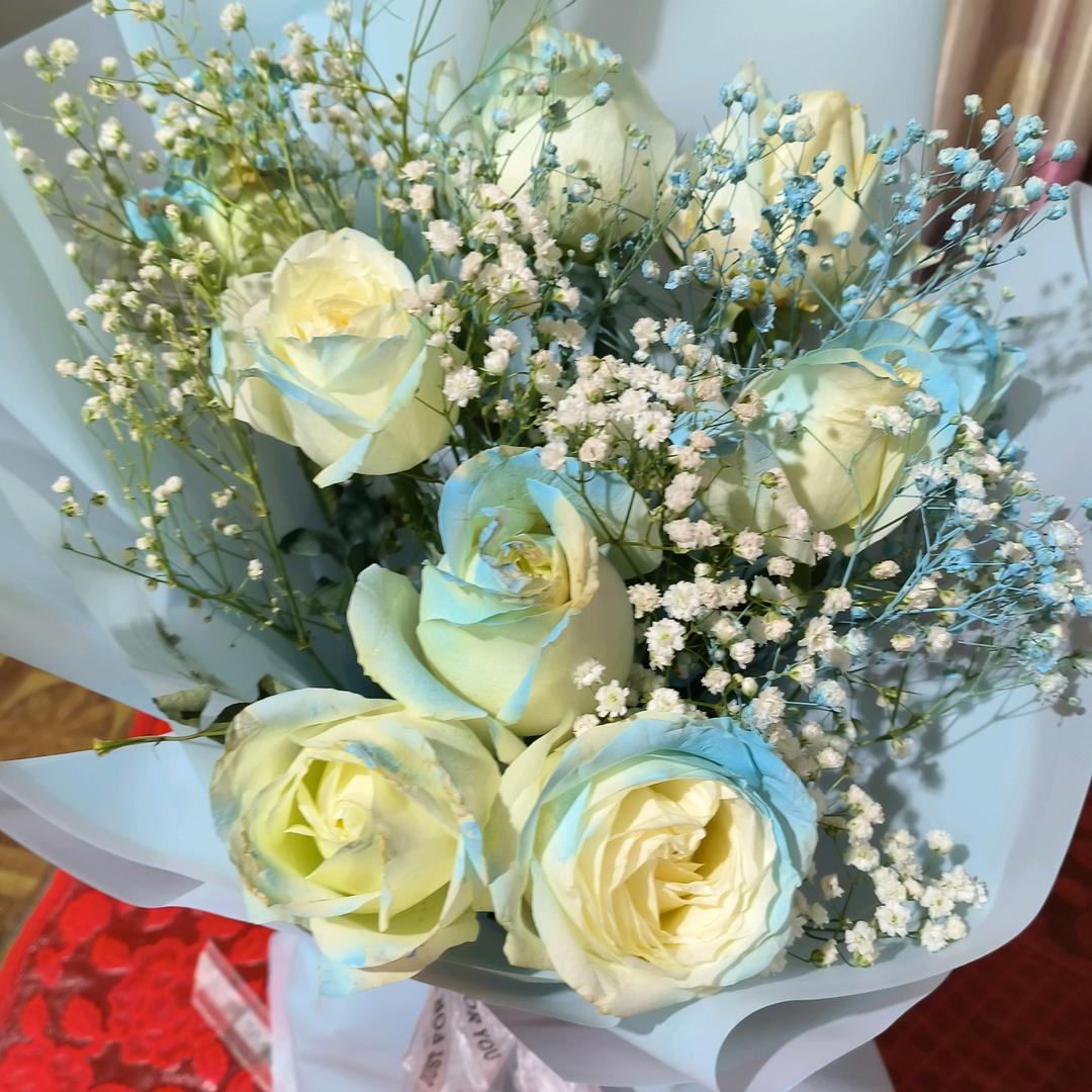 我不后悔遇见你