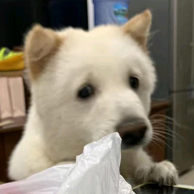 鱼恨水.