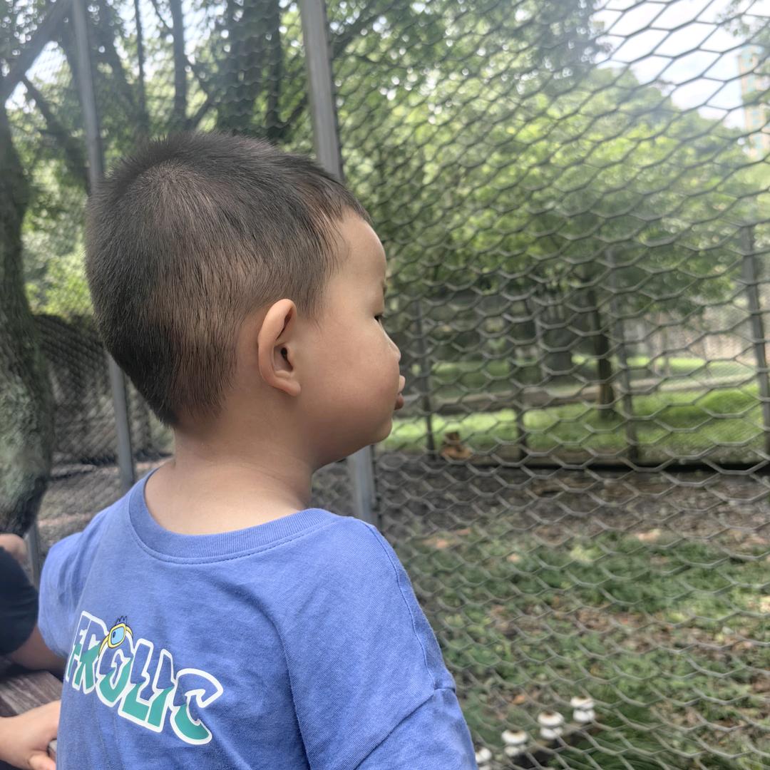 哩哩妹
