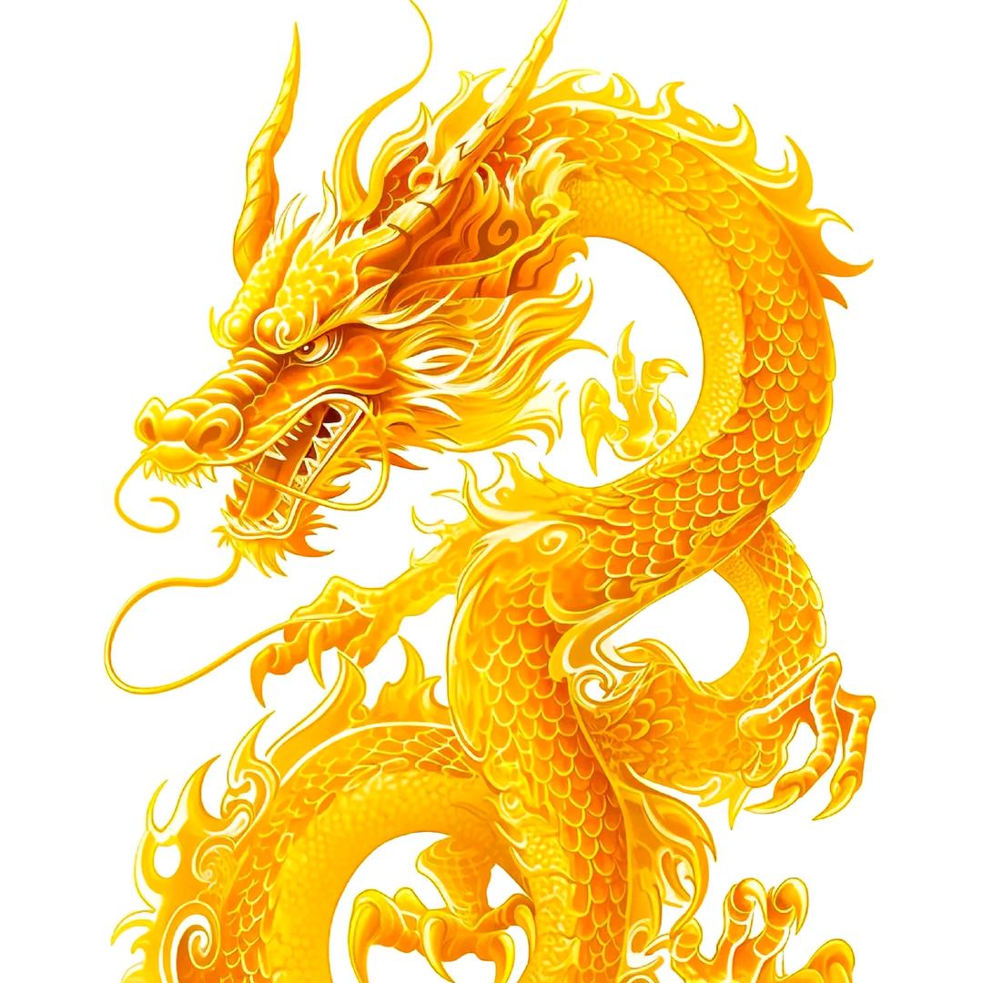爱美术和书法的老赵