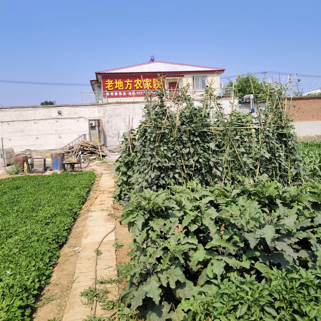 老地方铁锅炖，涮