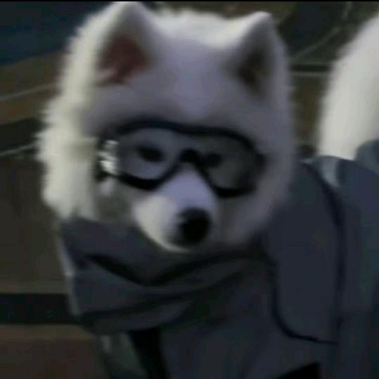 Www