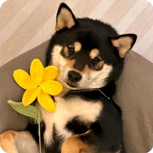 等