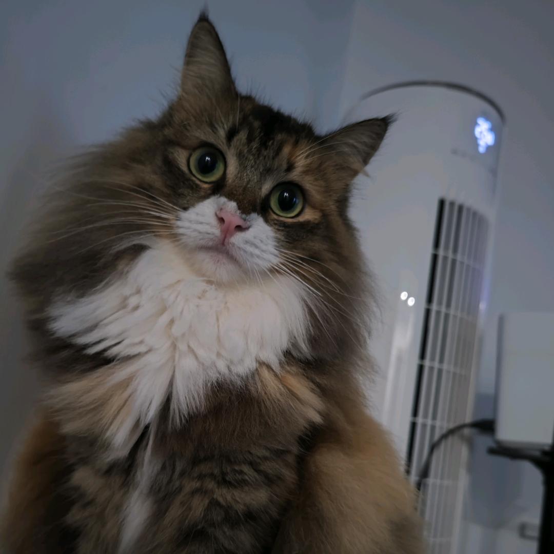 身体健康万事如意撸起袖子加油干