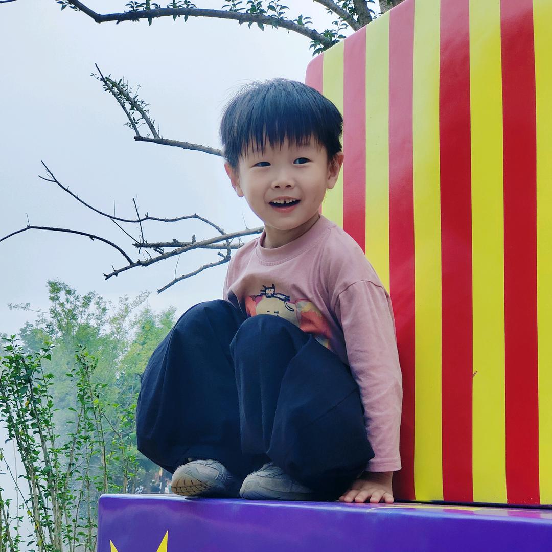 大晴手作 超大泡菜里脊肉饼