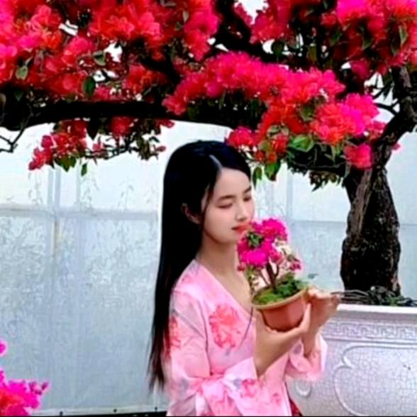 帅舞飞扬