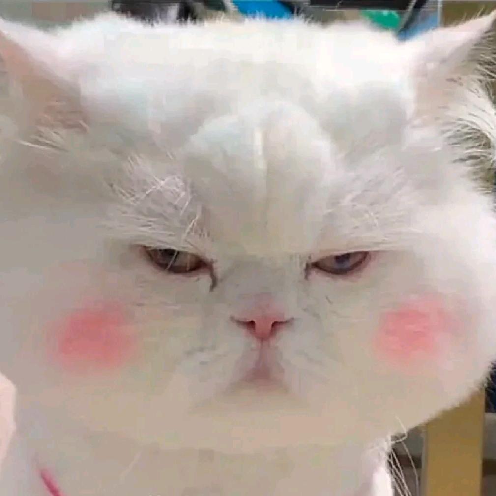 海绵宝宝🧽🧽🧽
