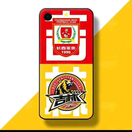 约定亚泰🌟东北虎