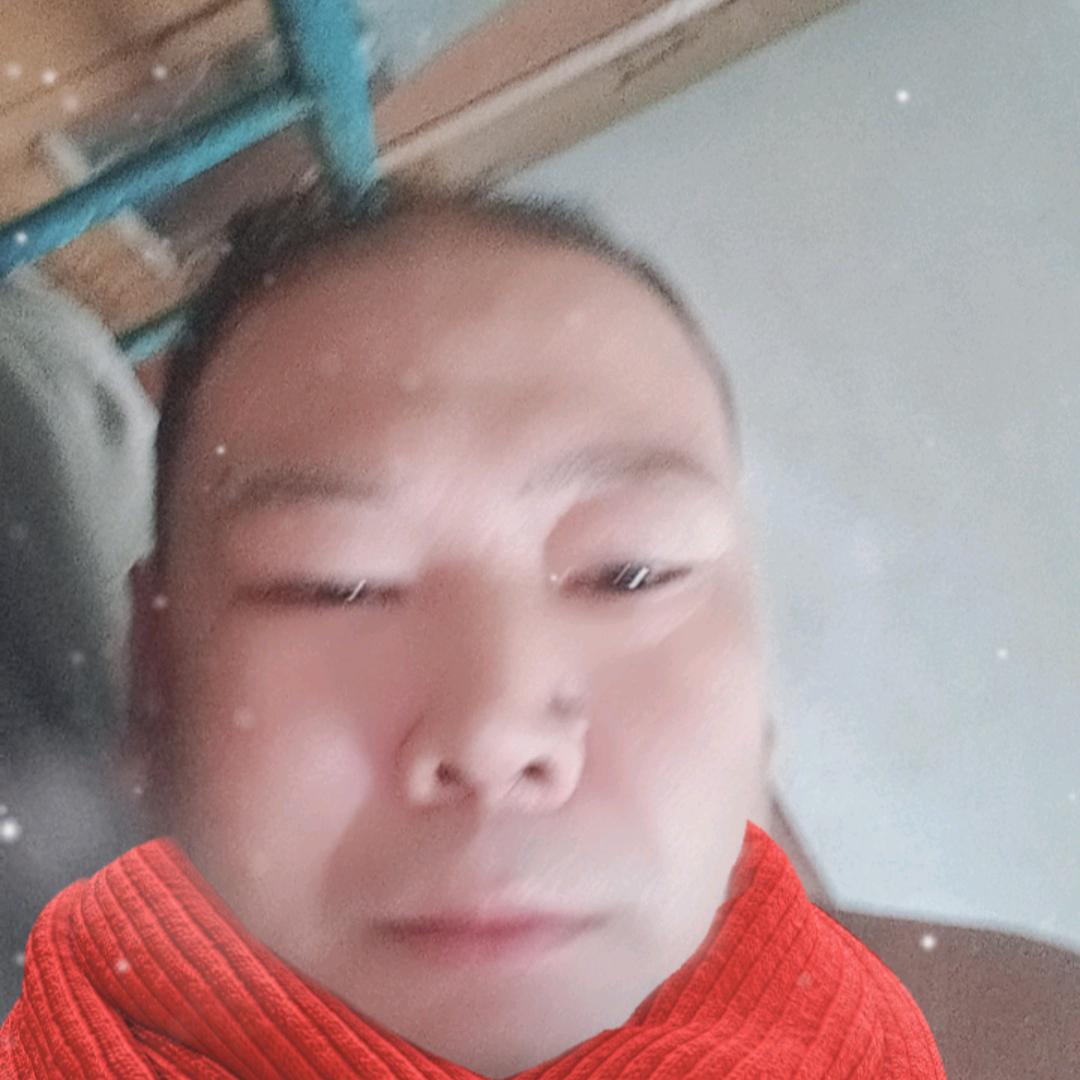 浪曼红尘