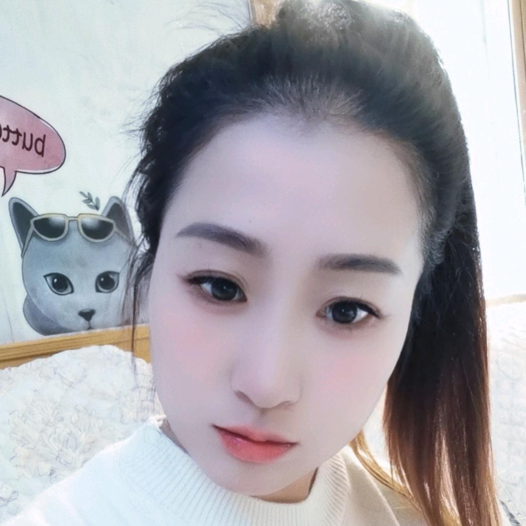 大雁南飞9281