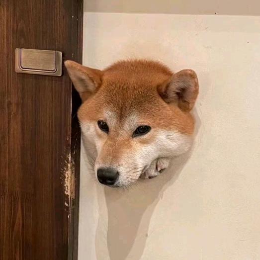 刹那.