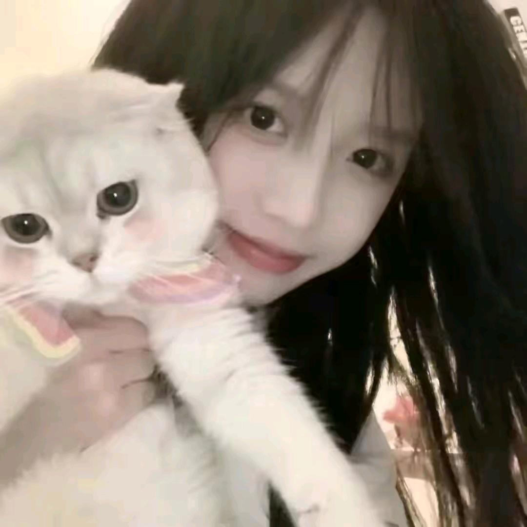 爽忧参伴