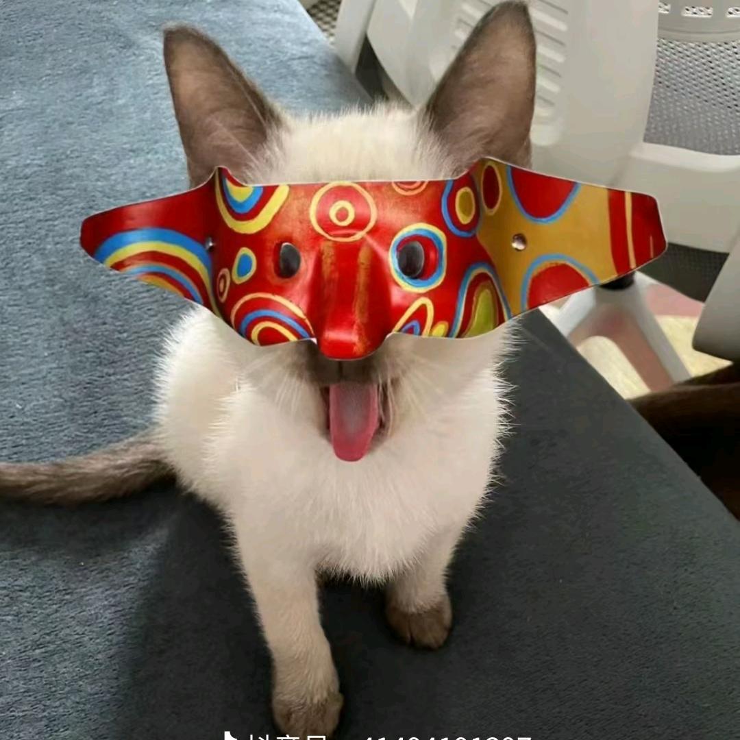 空白，王者鹰眼