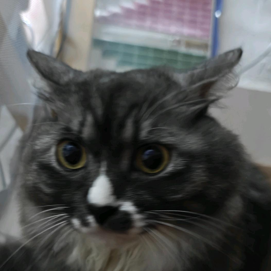 (QwQ)