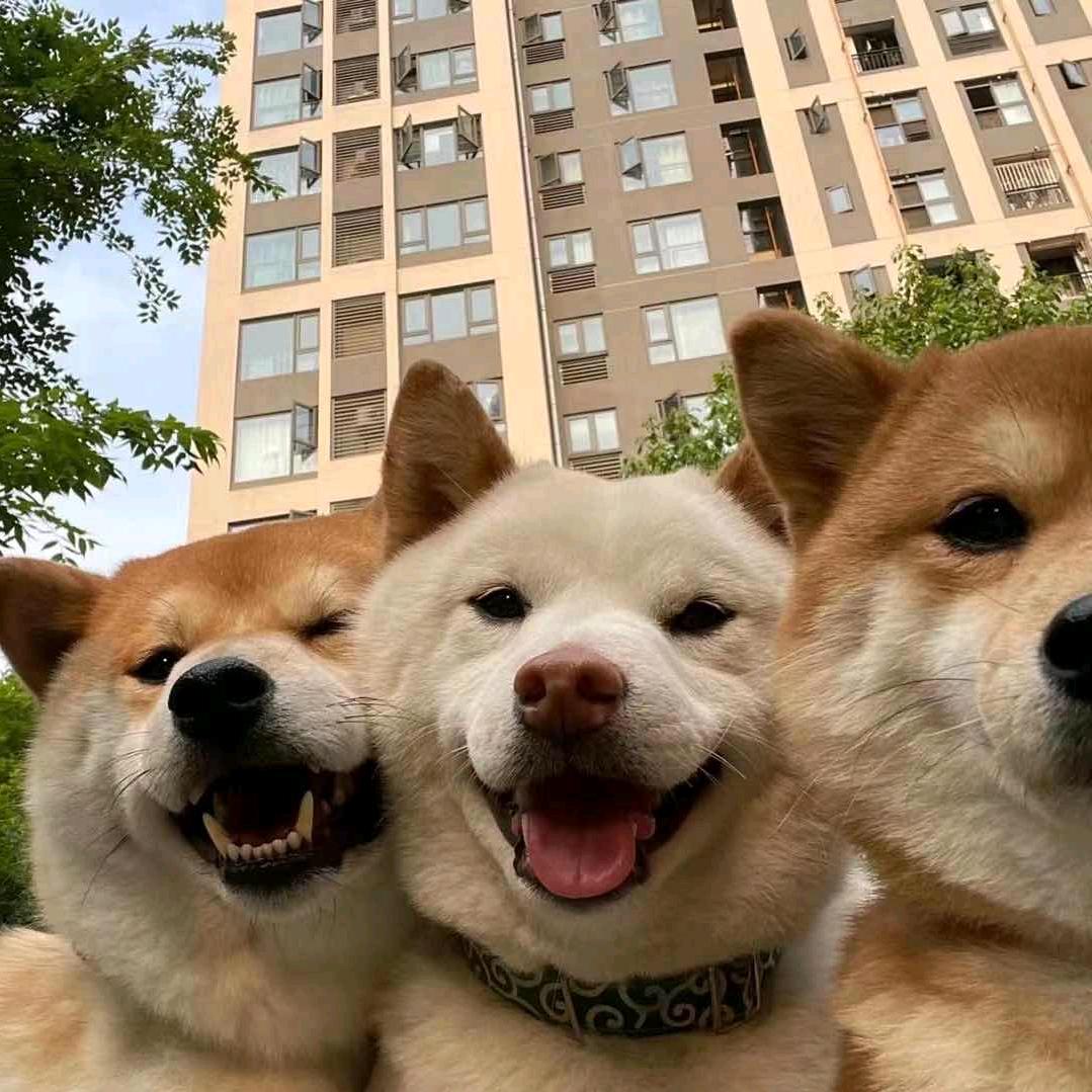 三不知