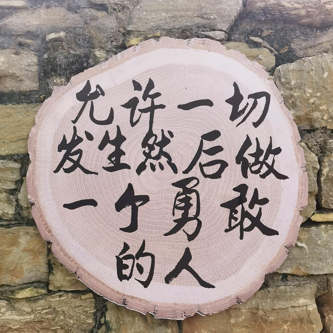 🌻旺旺旺♥️