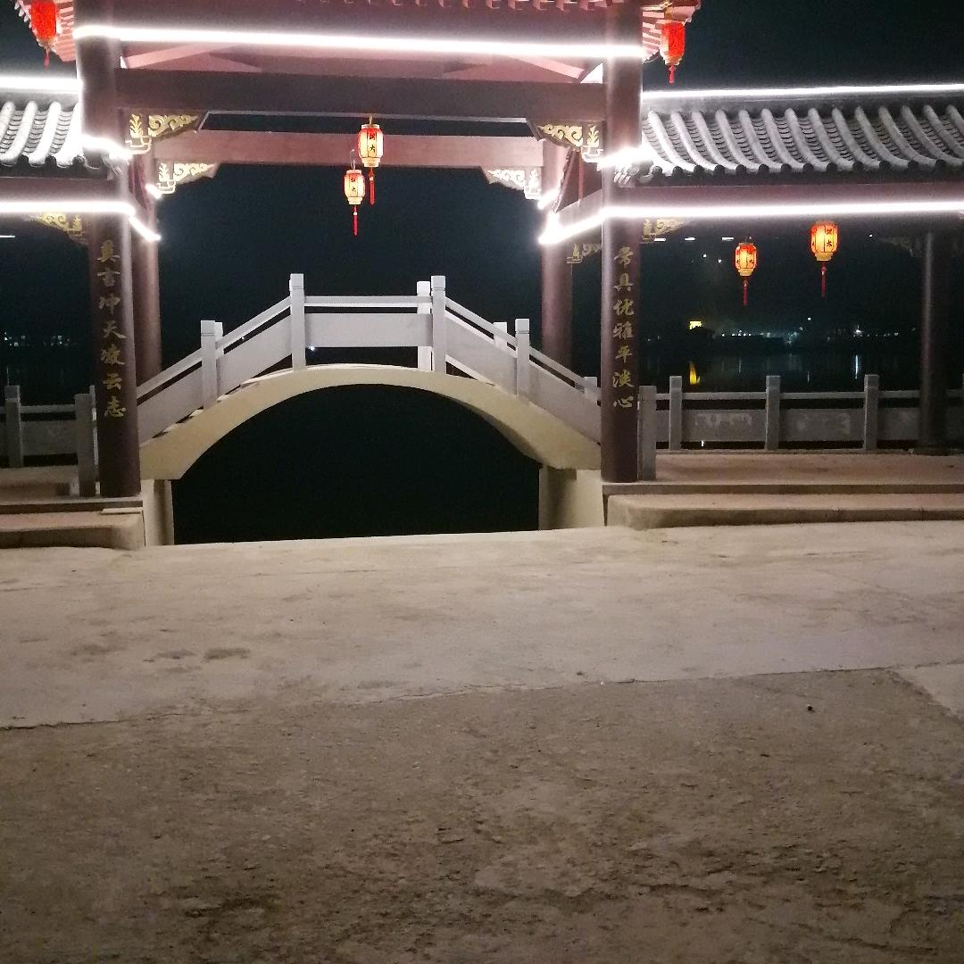 红花艳丽