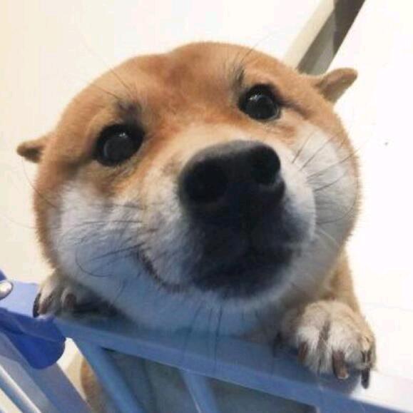 二叔（元梦之星）