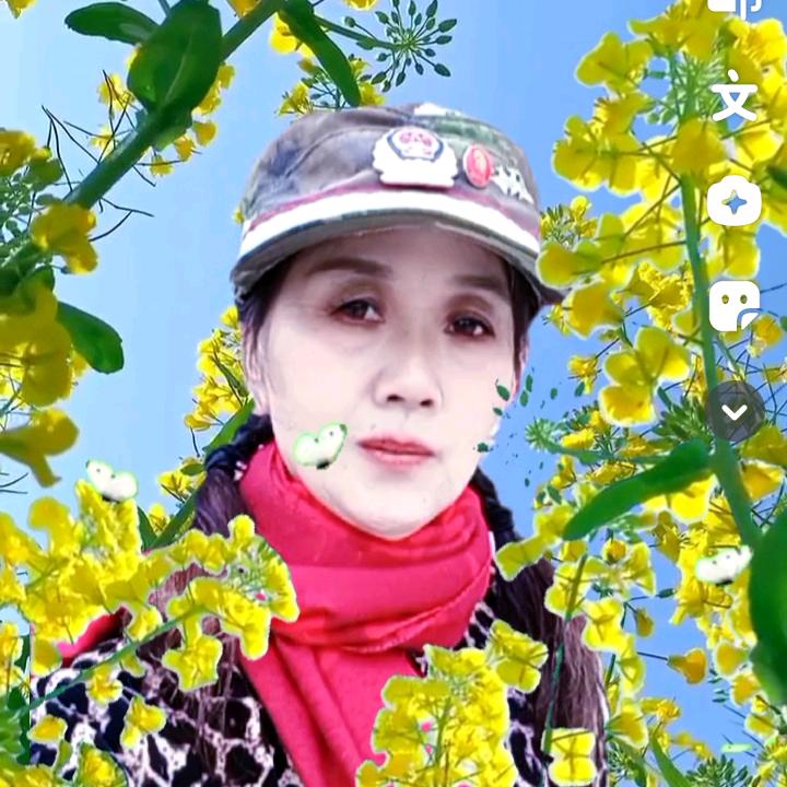 龍家三姑娘