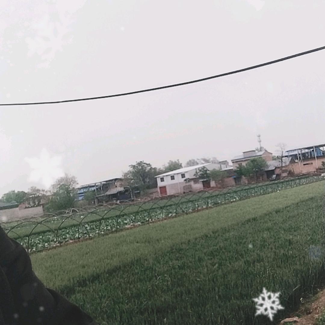 風雨同舟
