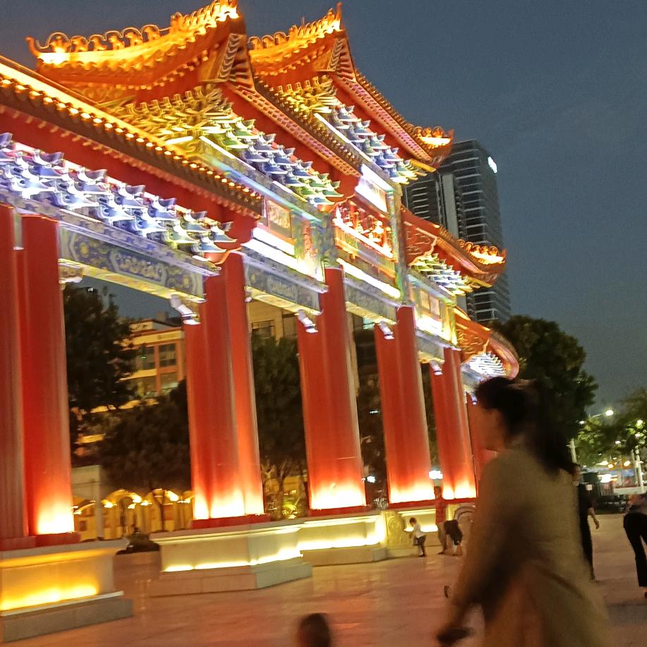 杨家苗仔