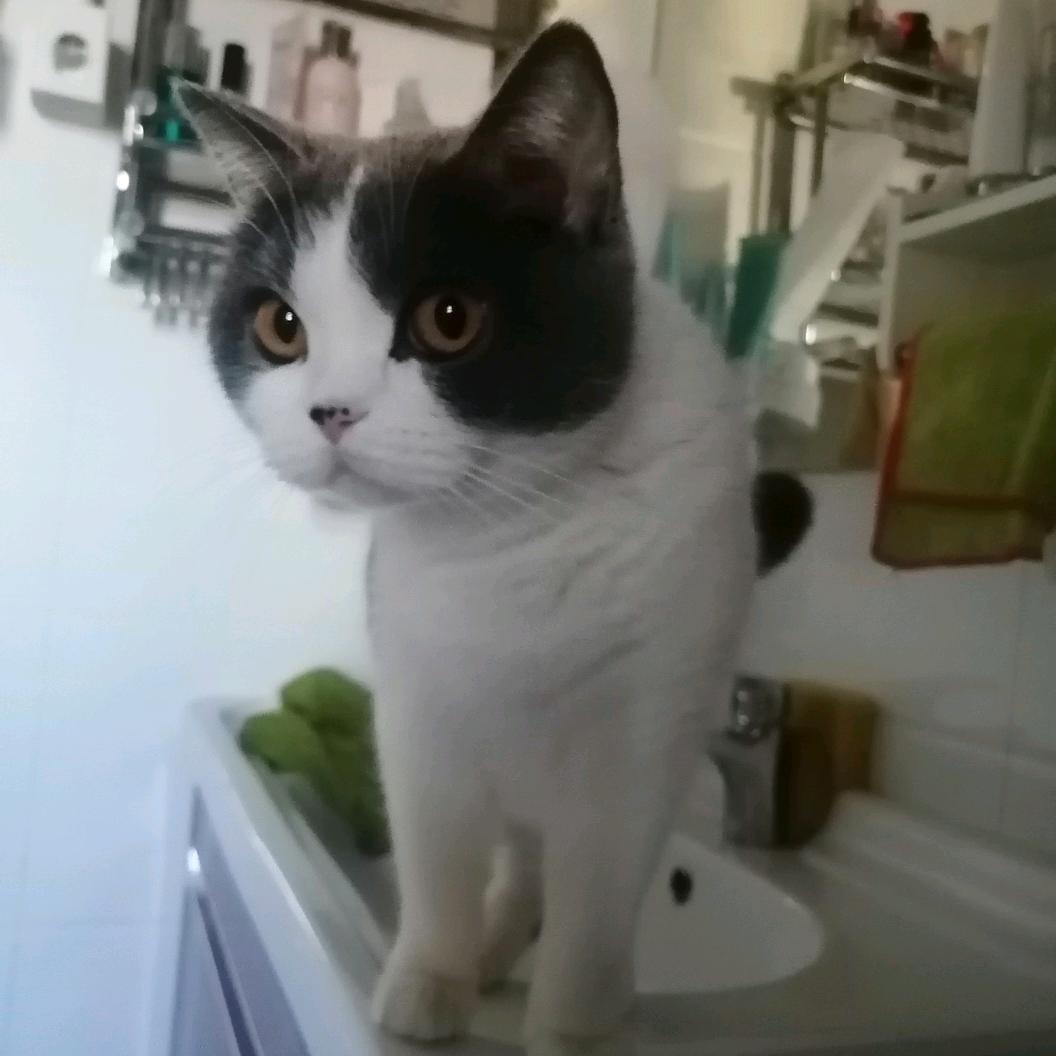 消消乐