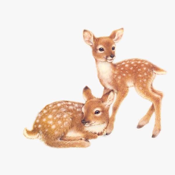 临汾~鹿公子