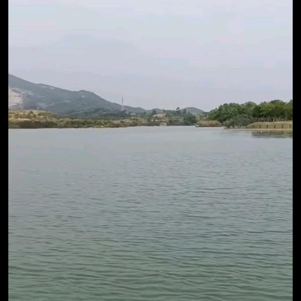 Huang    虹   💁‍