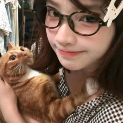 冬狸