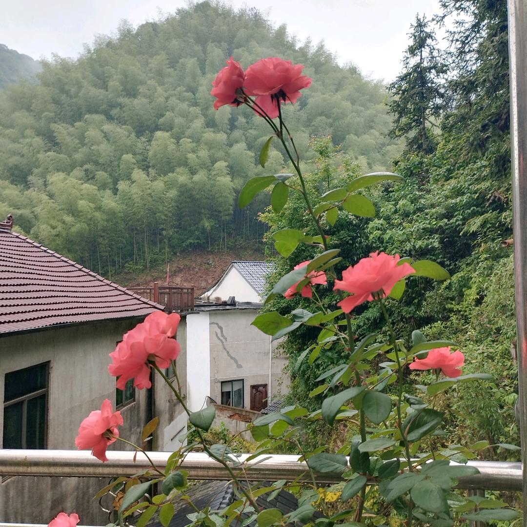 越韵💞秀