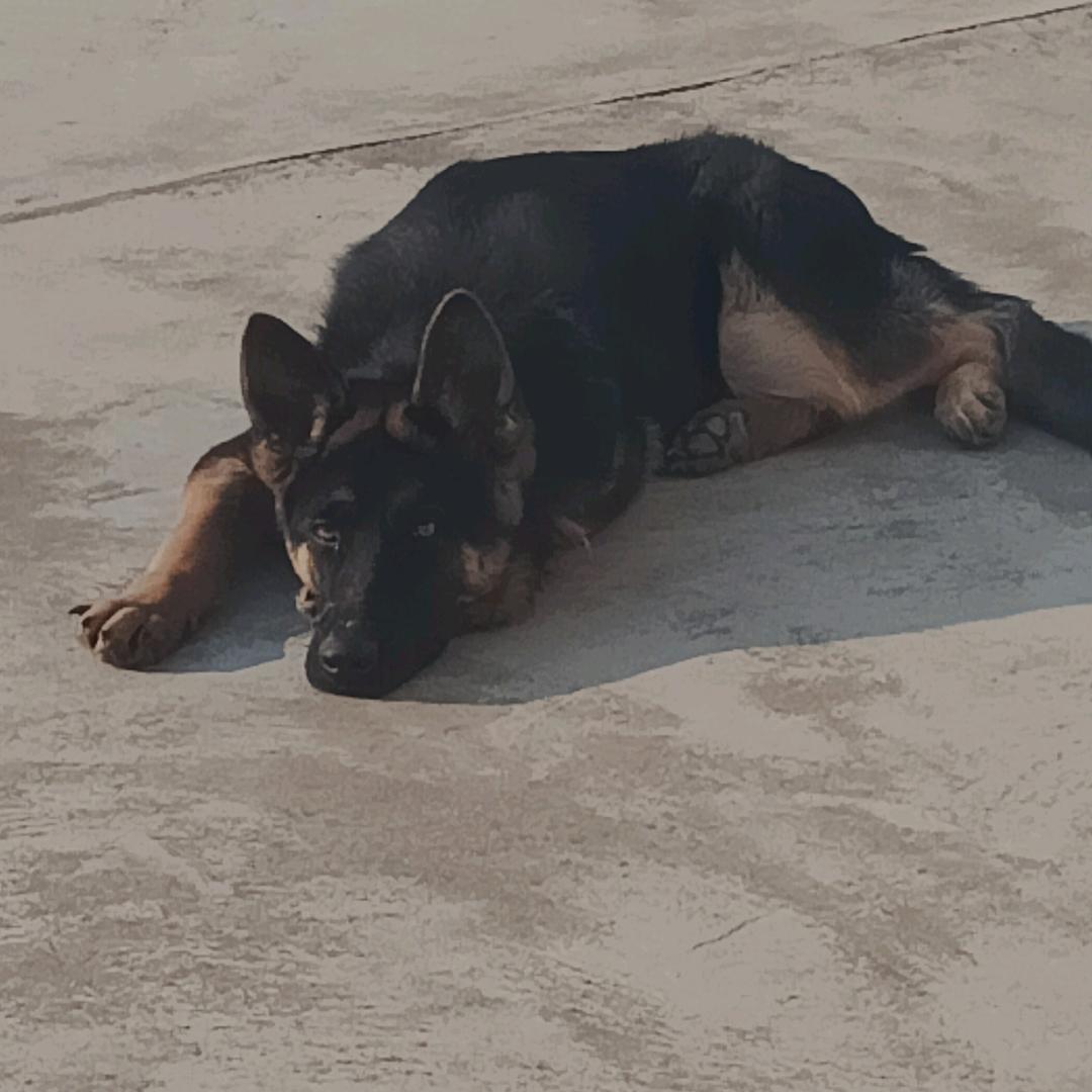 PUBG丶滂臭的答辩