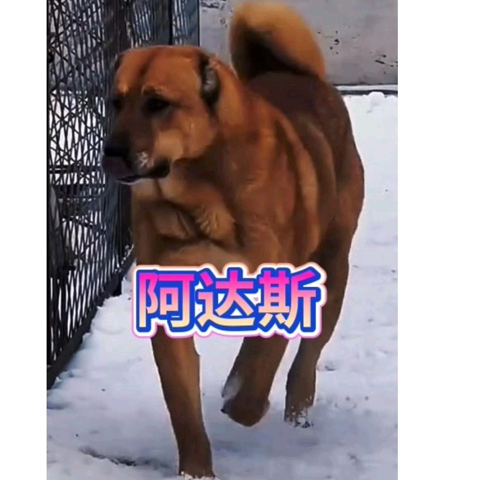 半夜起来抽颗烟