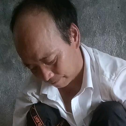 黄波新河自养直销鸡场
