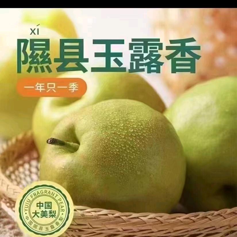 隰（xi）县梨妹子～初夏