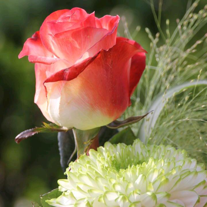 快乐🌺🌺