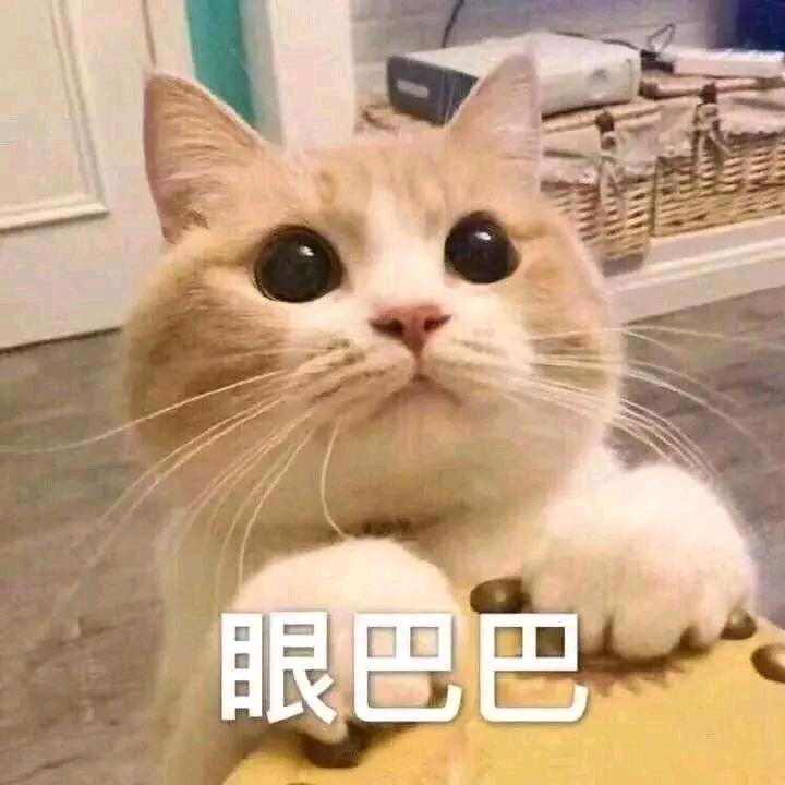 披着狼皮的羊