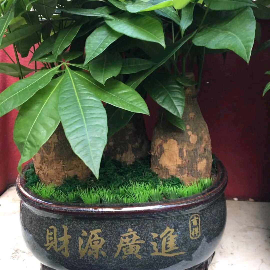 韵淑时尚屋