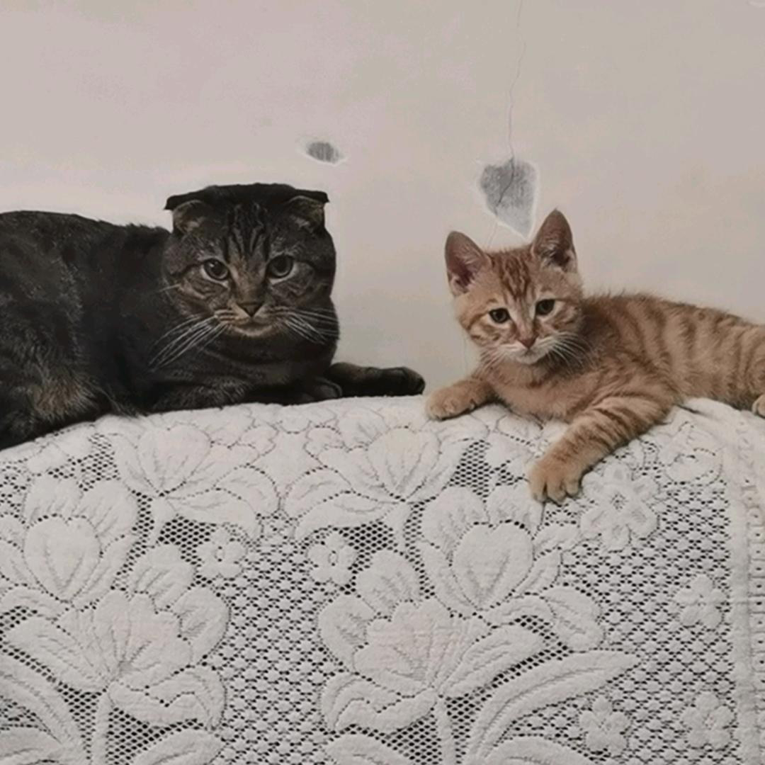 云朵妈妈“谝”教培