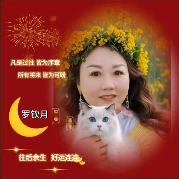 罗钦月