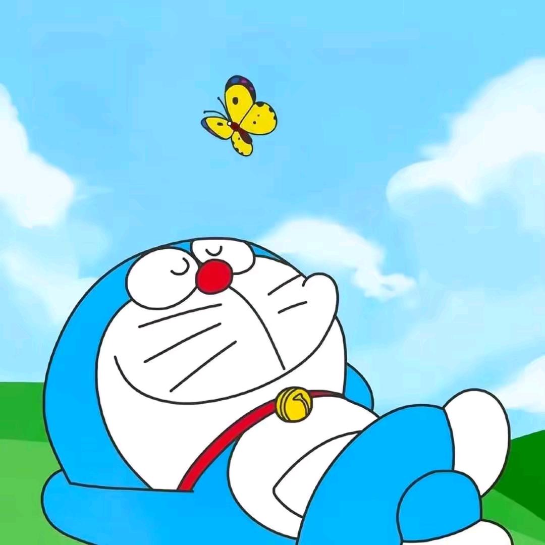 枫叶情