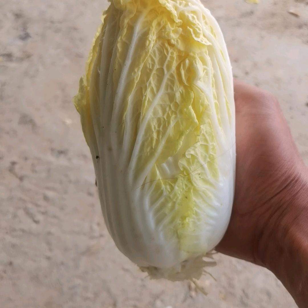 建哥