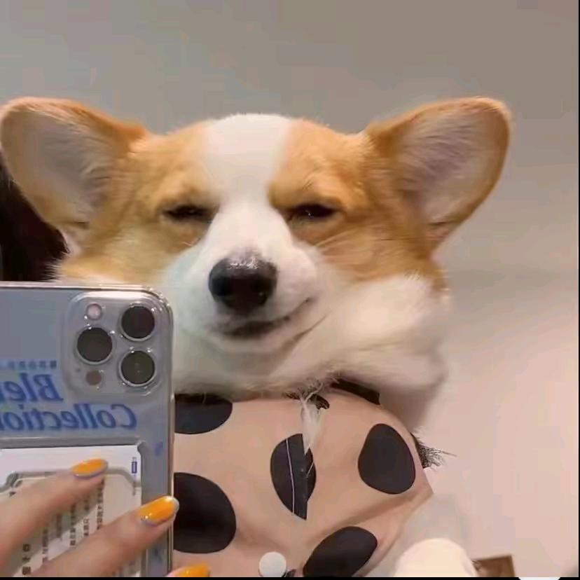 卑微鹏g