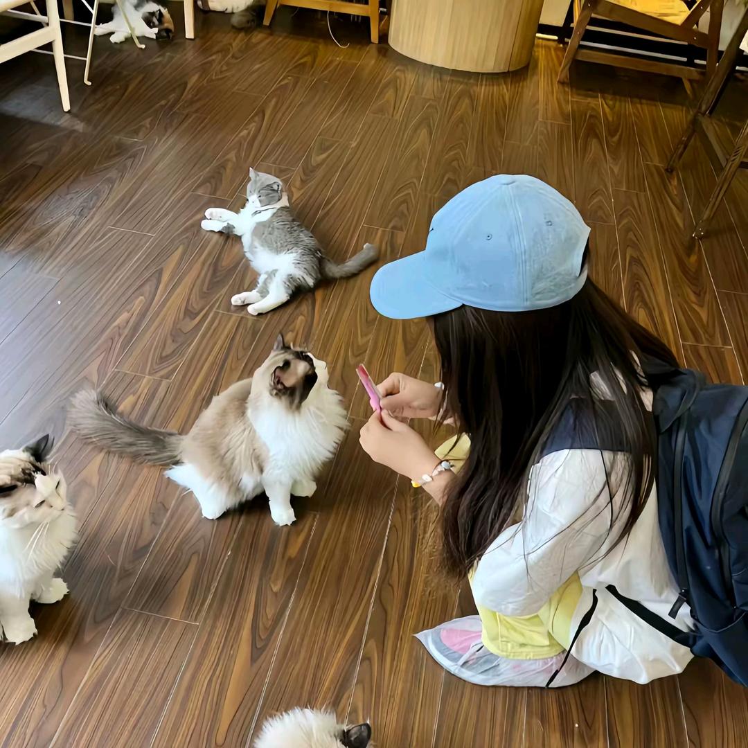 菠萝🍍小钰（有黄誉博to签版）