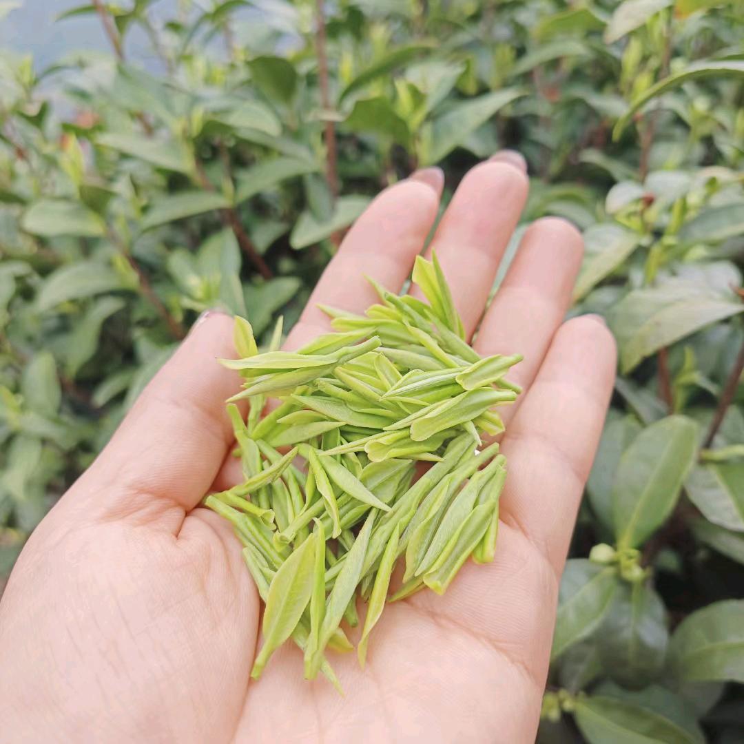 LX红炉一点雪Fragrant Snow