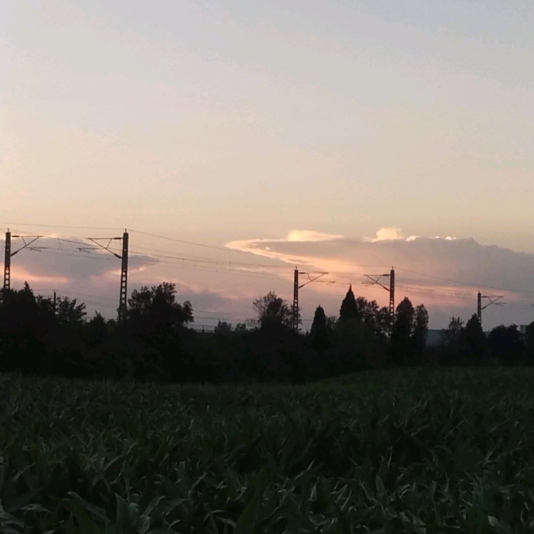 ‘▽