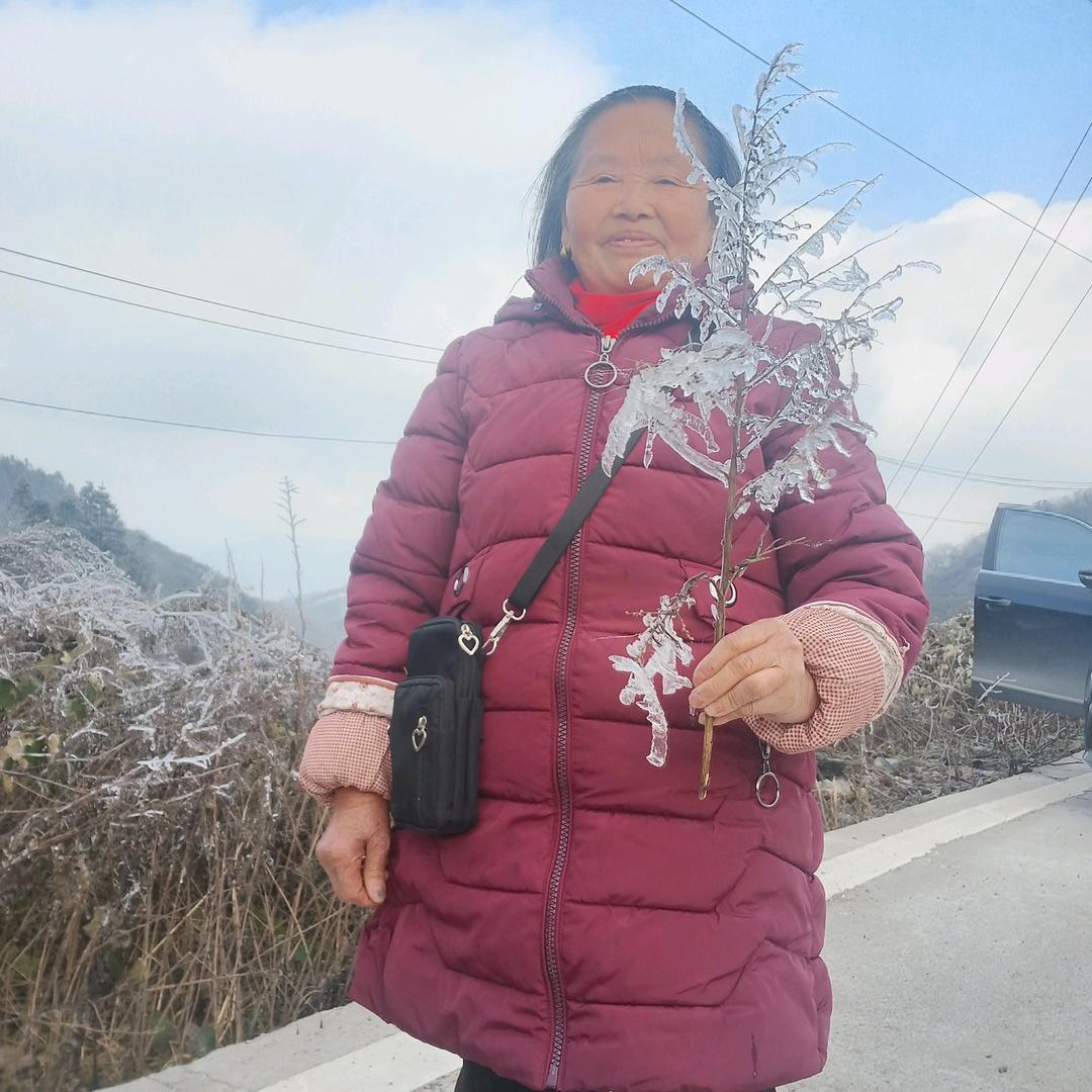 财源滚滚