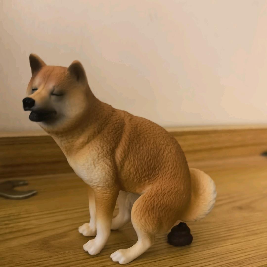 我的爱溢出就像雨水