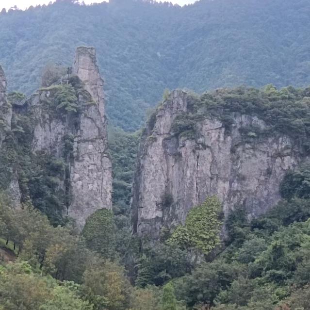清风月影